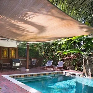 Travelers Palm United States